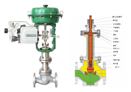 ��ӱ�Ĥ���y���{���y