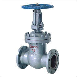 Z41H手動法蘭閘閥