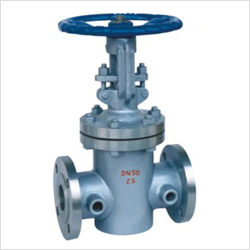 BZ41H夾套保溫閘閥